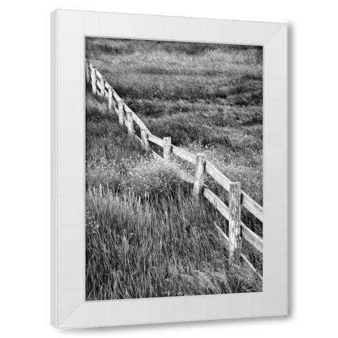 Washington Wooden fence in the Palouse country White Modern Wood Framed Art Print by Flaherty, Dennis