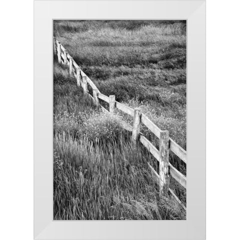 Washington Wooden fence in the Palouse country White Modern Wood Framed Art Print by Flaherty, Dennis