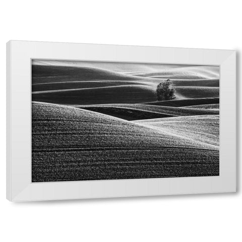 USA, Washington Farm country near Steptoe Butte White Modern Wood Framed Art Print by Flaherty, Dennis