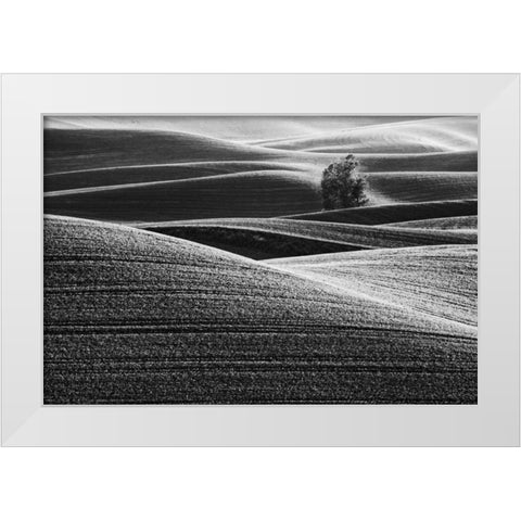 USA, Washington Farm country near Steptoe Butte White Modern Wood Framed Art Print by Flaherty, Dennis