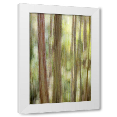 Washington, San Juans Abstract woodland scene White Modern Wood Framed Art Print by Paulson, Don