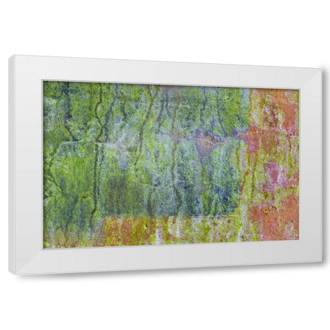 Washington, Fort Hayden Abstract painted wall White Modern Wood Framed Art Print by Paulson, Don