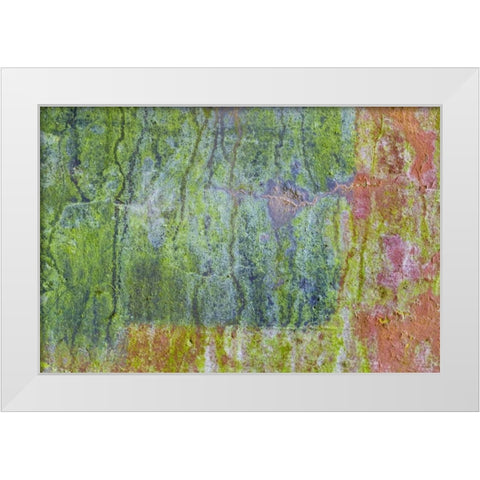 Washington, Fort Hayden Abstract painted wall White Modern Wood Framed Art Print by Paulson, Don