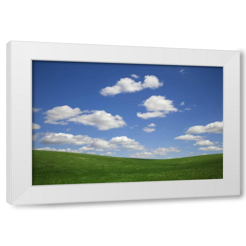 Washington, Palouse Green wheat field landscape White Modern Wood Framed Art Print by Flaherty, Dennis