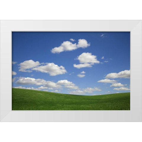 Washington, Palouse Green wheat field landscape White Modern Wood Framed Art Print by Flaherty, Dennis