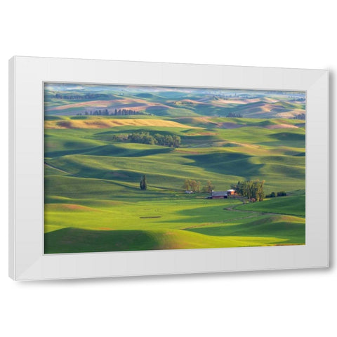 WA, Palouse Hills Farmland from Steptoe Butte White Modern Wood Framed Art Print by Paulson, Don