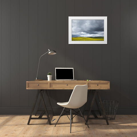 WA, Palouse Canola field on a stormy day White Modern Wood Framed Art Print by Flaherty, Dennis