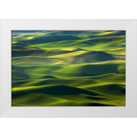 WA, Palouse Hills Farmland from Steptoe Butte White Modern Wood Framed Art Print by Paulson, Don