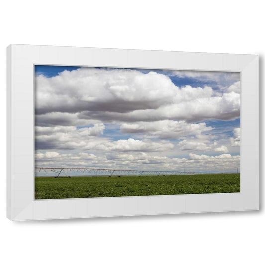 Perspective Image