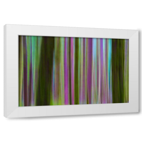 Washington Abstract of Hoh Rain Forest at dusk White Modern Wood Framed Art Print by Delisle, Gilles