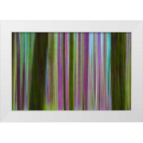 Washington Abstract of Hoh Rain Forest at dusk White Modern Wood Framed Art Print by Delisle, Gilles