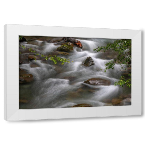 Washington State-Olympic National Park Dungeness River rapids  White Modern Wood Framed Art Print by Jaynes Gallery