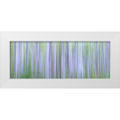 Washington State-Seabeck Panoramic abstract of alder grove  White Modern Wood Framed Art Print by Jaynes Gallery
