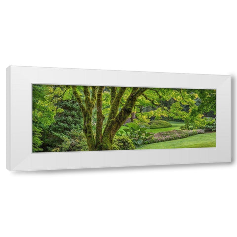 Washington State-Bainbridge Island Panoramic of garden  White Modern Wood Framed Art Print by Jaynes Gallery