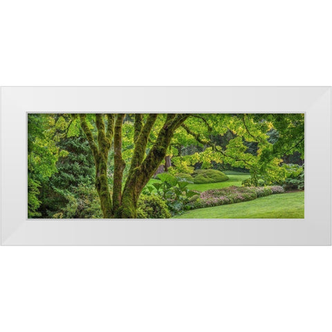 Washington State-Bainbridge Island Panoramic of garden  White Modern Wood Framed Art Print by Jaynes Gallery