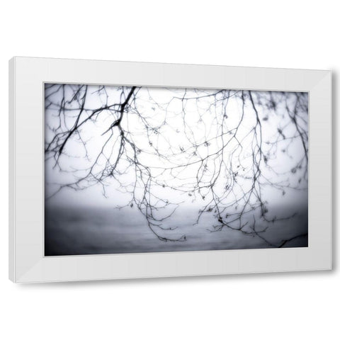 Washington State-Seabeck Alder branches in winter and Hood Canal  White Modern Wood Framed Art Print by Jaynes Gallery