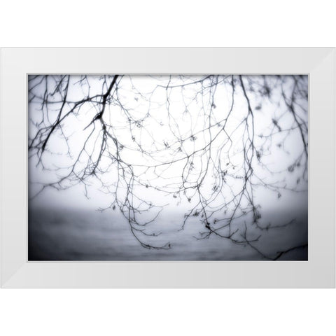 Washington State-Seabeck Alder branches in winter and Hood Canal  White Modern Wood Framed Art Print by Jaynes Gallery