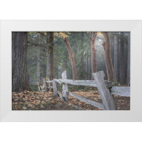 Washington State-Seabeck Split-rail fence and forest  White Modern Wood Framed Art Print by Jaynes Gallery