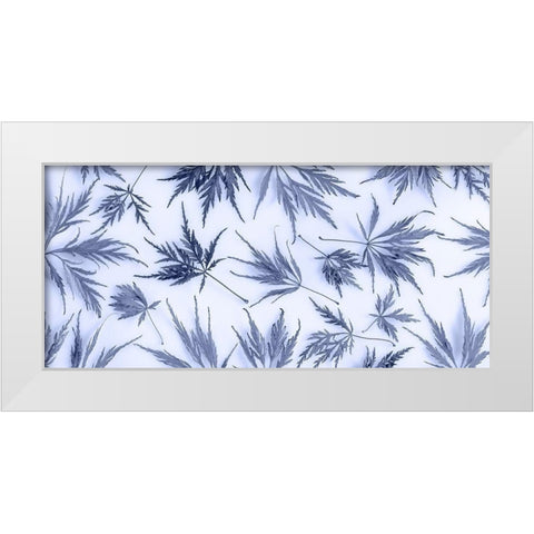 Washington State-Seabeck Panoramic of lace leaf maple leaves  White Modern Wood Framed Art Print by Jaynes Gallery