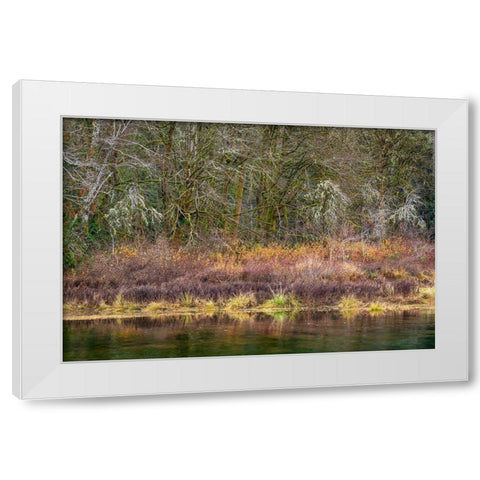 Washington State-Hood Canal Forest reflects in canal  White Modern Wood Framed Art Print by Jaynes Gallery