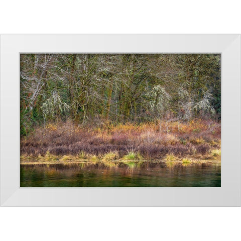 Washington State-Hood Canal Forest reflects in canal  White Modern Wood Framed Art Print by Jaynes Gallery