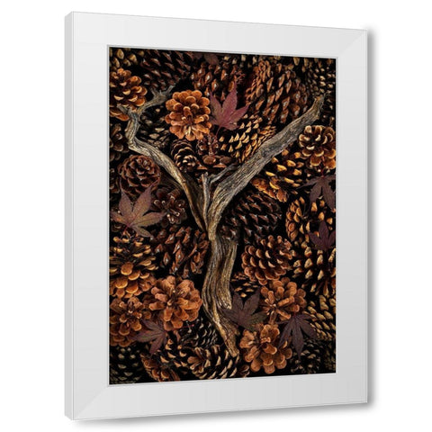 Washington State-Seabeck Pine cones and fall leaves  White Modern Wood Framed Art Print by Jaynes Gallery