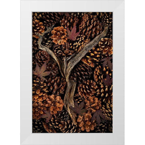 Washington State-Seabeck Pine cones and fall leaves  White Modern Wood Framed Art Print by Jaynes Gallery