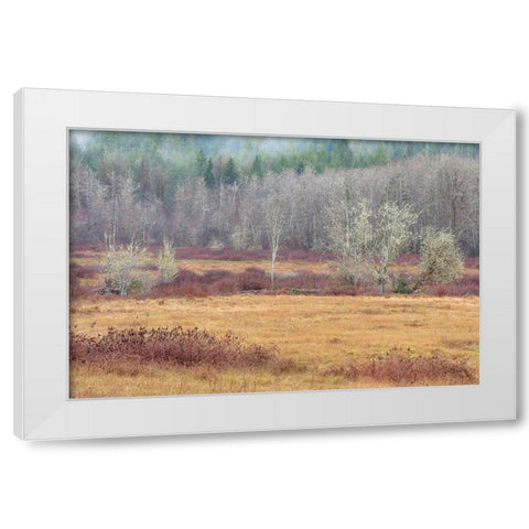 Washington State-Dewatto Autumn meadow and forest  White Modern Wood Framed Art Print by Jaynes Gallery