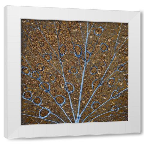 An abstraction of water drops on a skeletonized cottonwood leaf  White Modern Wood Framed Art Print by Jaynes Gallery