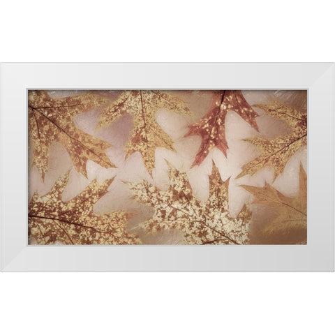 Washington State-Seabeck Fall oak Leaves  White Modern Wood Framed Art Print by Jaynes Gallery