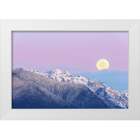 Washington State Moon setting over the Olympic Mountains at sunrise White Modern Wood Framed Art Print by Jaynes Gallery