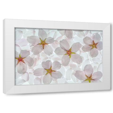 Washington State-Seabeck Montage of flowering cherry blossoms White Modern Wood Framed Art Print by Jaynes Gallery