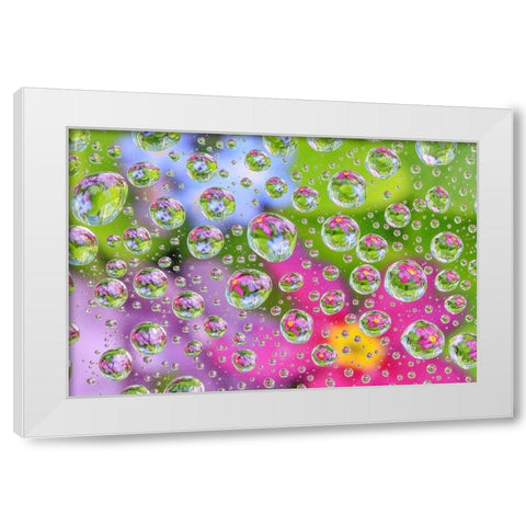 Washington State-Seabeck Flowers reflected in water drops White Modern Wood Framed Art Print by Jaynes Gallery