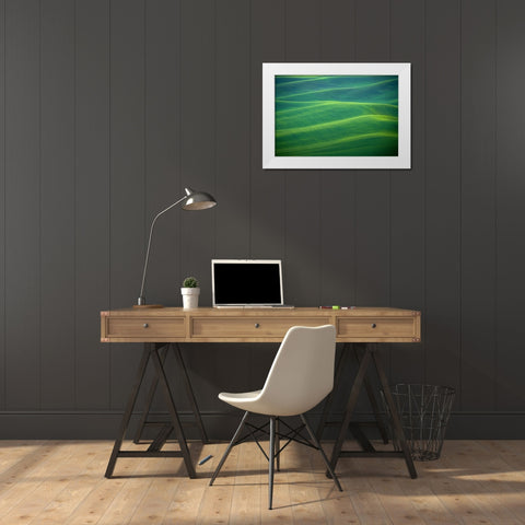 USA-Washington-Palouse-Rolling spring wheat fields White Modern Wood Framed Art Print by Jaynes Gallery