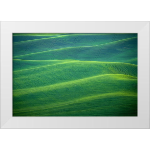 USA-Washington-Palouse-Rolling spring wheat fields White Modern Wood Framed Art Print by Jaynes Gallery