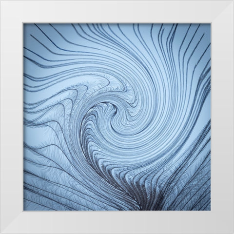 USA-Washington State-Seabeck Downy feather with a twist White Modern Wood Framed Art Print by Jaynes Gallery