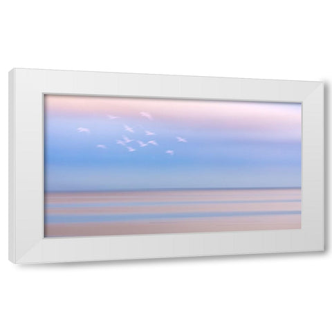 USA-Washington State-Seabeck Pastel sunrise panoramic over Hood Canal White Modern Wood Framed Art Print by Jaynes Gallery