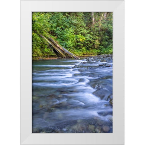 USA-Washington State-Olympic National Forest Rapids on Duckabush River White Modern Wood Framed Art Print by Jaynes Gallery