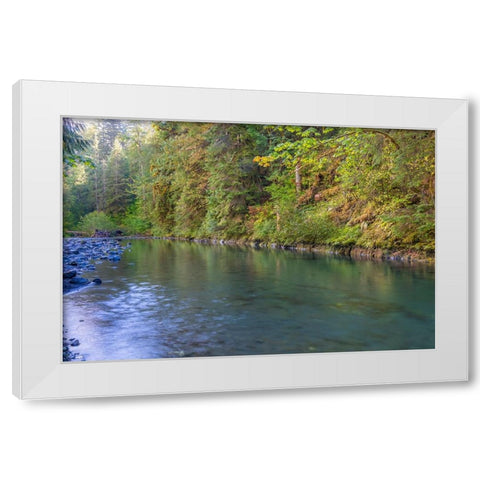 USA-Washington State-Olympic National Forest Duckabush River landscape White Modern Wood Framed Art Print by Jaynes Gallery