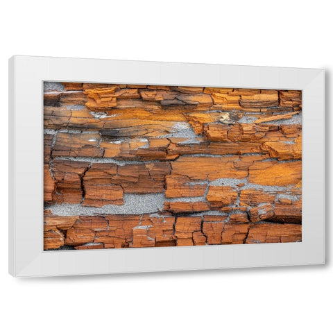 USA-Washington State-Fort Flagler State Park Crumbling driftwood close-up White Modern Wood Framed Art Print by Jaynes Gallery