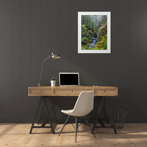 USA-Washington State-Olympic National Park The Sol Duc River runs through forest White Modern Wood Framed Art Print by Jaynes Gallery