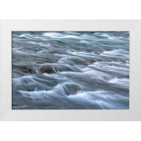 USA-Washington State-Olympic National Park Elwha River rapids scenic White Modern Wood Framed Art Print by Jaynes Gallery