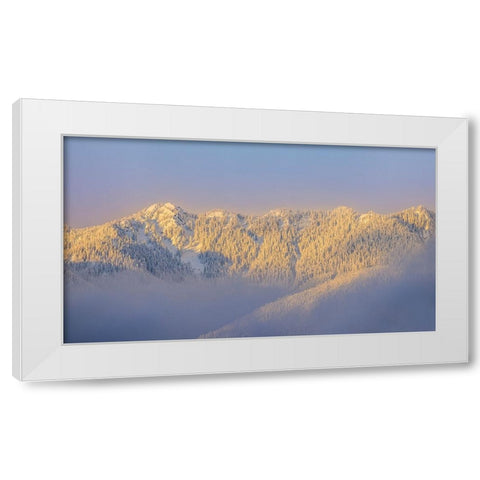 USA- Washington State. Sunrise on snow-covered mountains in Olympic National Forest. White Modern Wood Framed Art Print by Jaynes Gallery