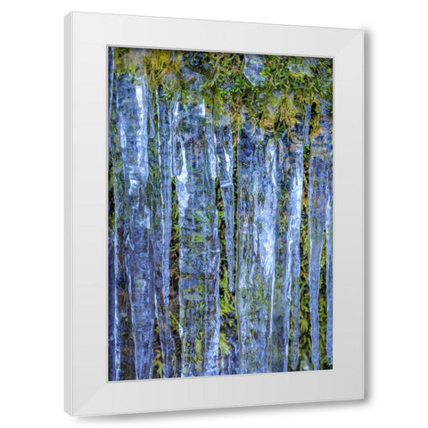 USA- Washington State- Seabeck. Close-up of icicles and moss. White Modern Wood Framed Art Print by Jaynes Gallery