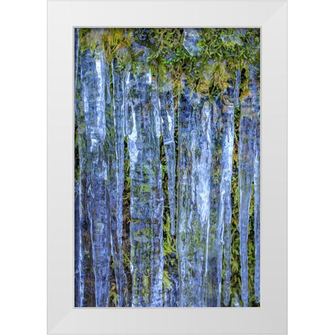 USA- Washington State- Seabeck. Close-up of icicles and moss. White Modern Wood Framed Art Print by Jaynes Gallery