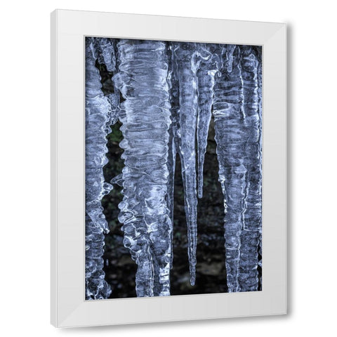 USA- Washington State- Seabeck. Close-up of icicles. White Modern Wood Framed Art Print by Jaynes Gallery