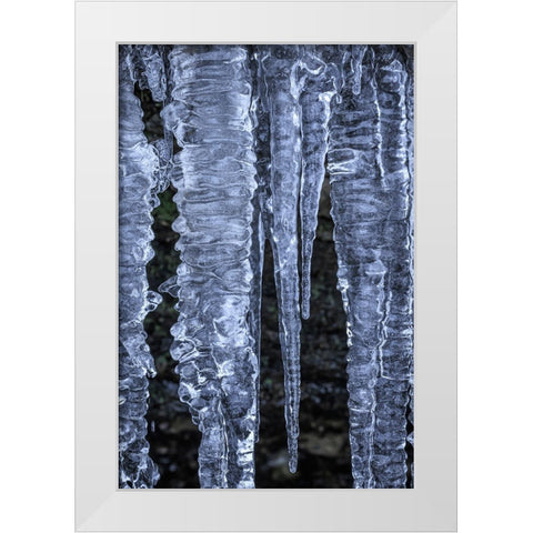 USA- Washington State- Seabeck. Close-up of icicles. White Modern Wood Framed Art Print by Jaynes Gallery