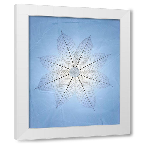 USA- Washington State- Seabeck. Skeletonized leaf pattern. White Modern Wood Framed Art Print by Jaynes Gallery