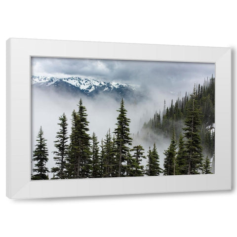 USA-Washington State-Olympic National Park White Modern Wood Framed Art Print by Sederquist, Betty