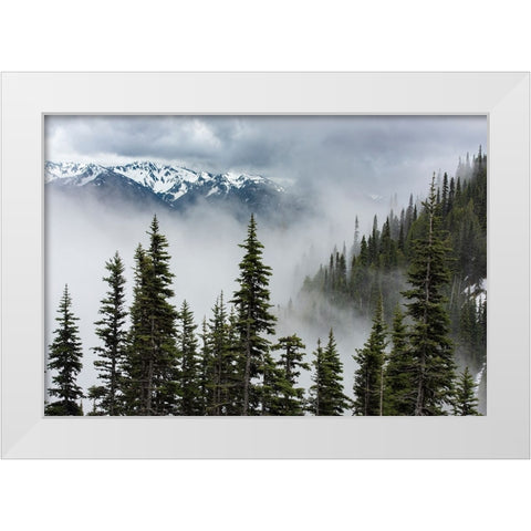 USA-Washington State-Olympic National Park White Modern Wood Framed Art Print by Sederquist, Betty
